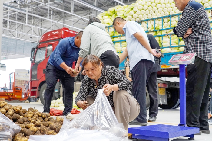 中國農(nóng)批宿遷市場盛大開業(yè)，新鮮食材與水果零售引領(lǐng)健康生活新風(fēng)尚