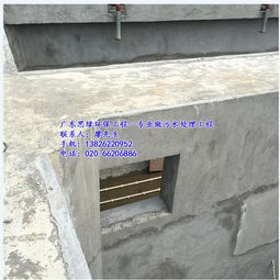 思綠環(huán)保 化州人工濕地廢水處理工程，科技與自然共筑綠水青山